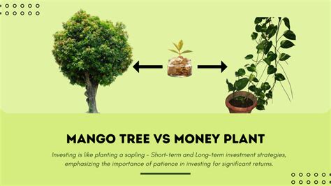 Money Plant Fintech.